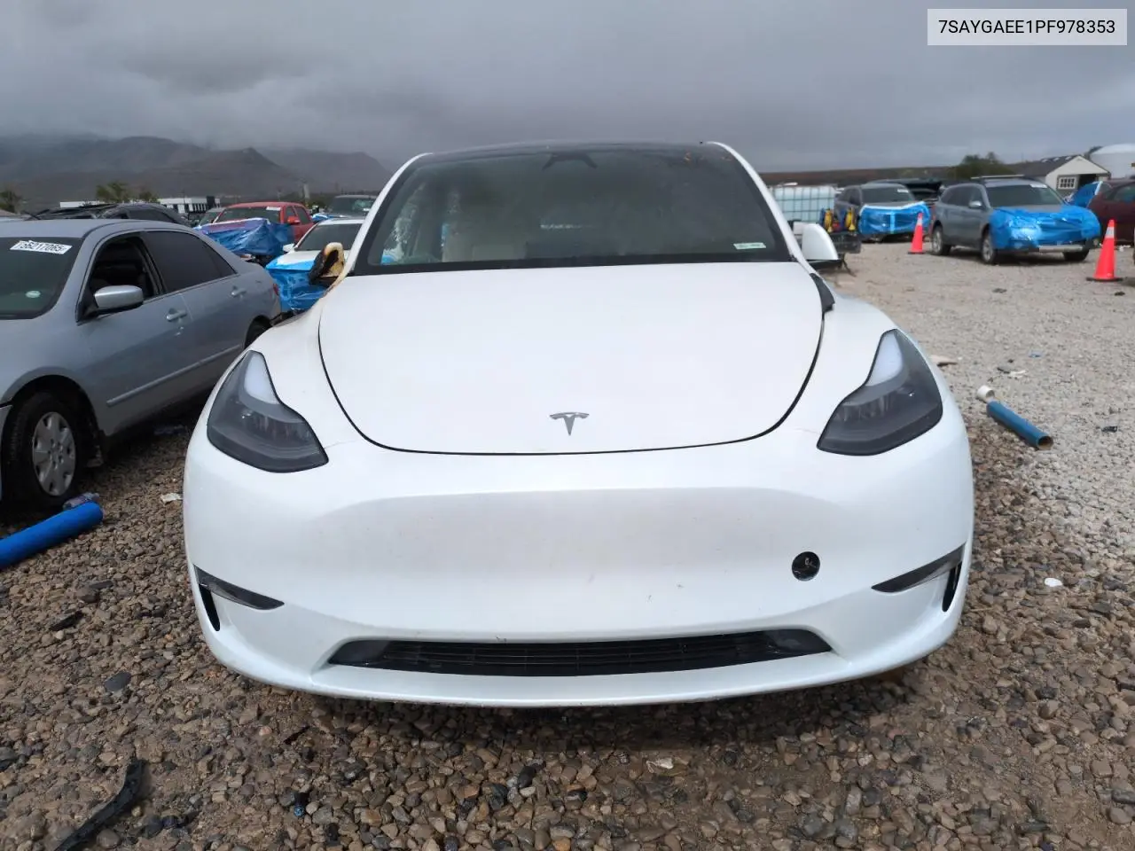 2023 Tesla Model Y VIN: 7SAYGAEE1PF978353 Lot: 56322305