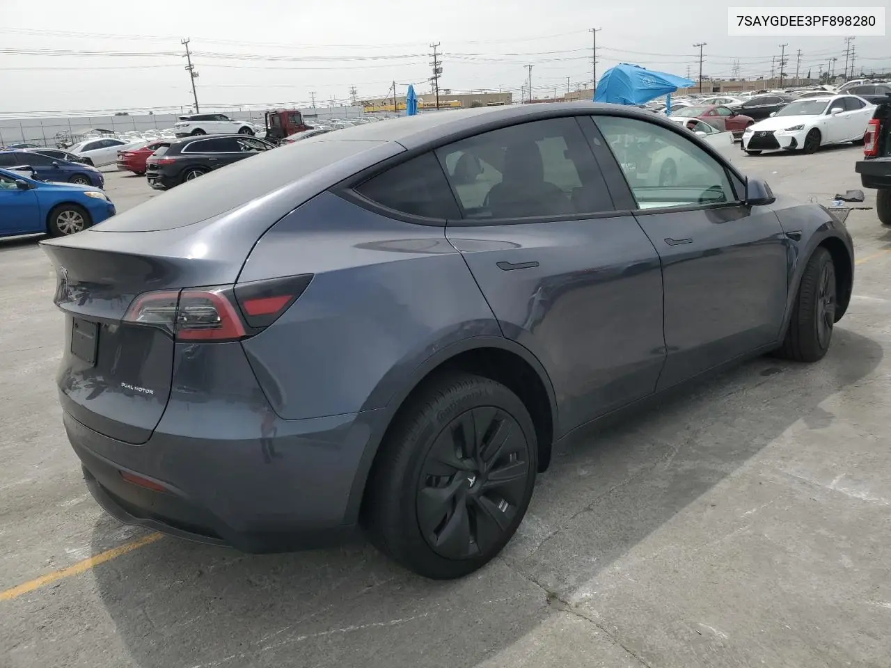 2023 Tesla Model Y VIN: 7SAYGDEE3PF898280 Lot: 56758725