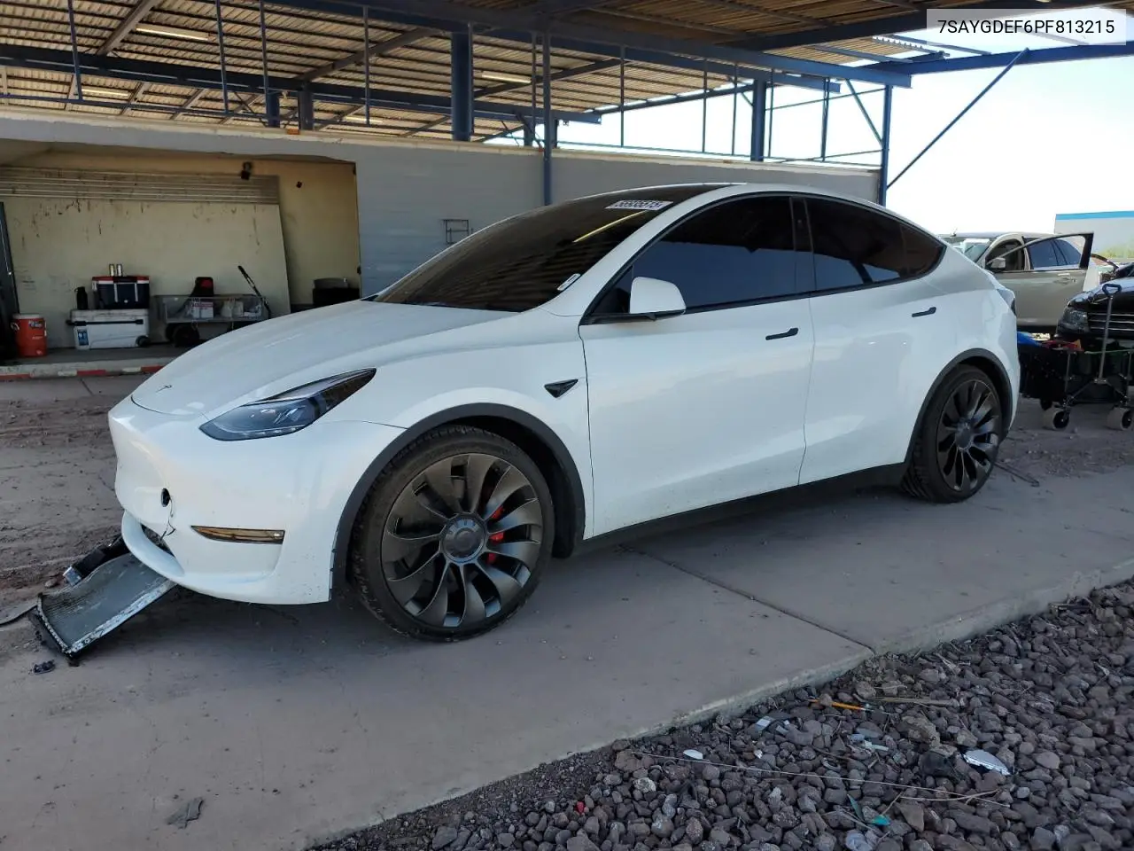 2023 Tesla Model Y VIN: 7SAYGDEF6PF813215 Lot: 56935515