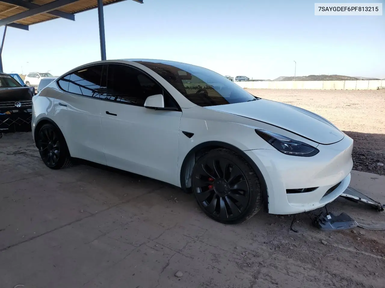 2023 Tesla Model Y VIN: 7SAYGDEF6PF813215 Lot: 56935515