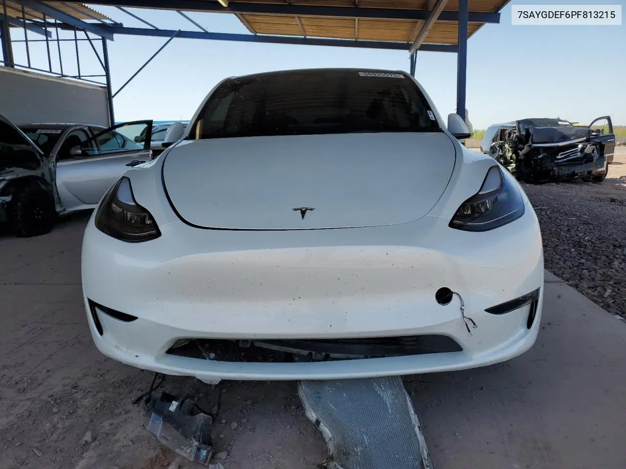 2023 Tesla Model Y VIN: 7SAYGDEF6PF813215 Lot: 56935515