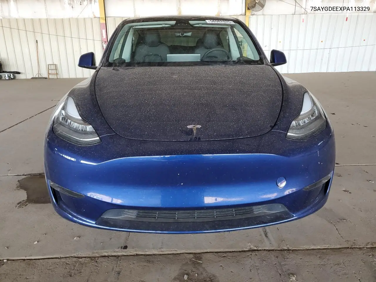 2023 Tesla Model Y VIN: 7SAYGDEEXPA113329 Lot: 56982025