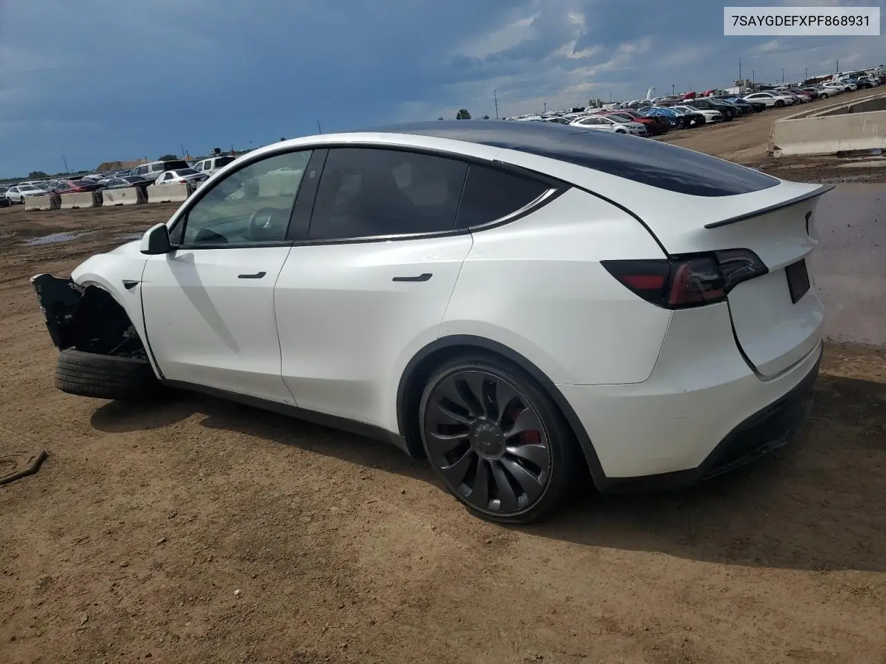 2023 Tesla Model Y VIN: 7SAYGDEFXPF868931 Lot: 59297535