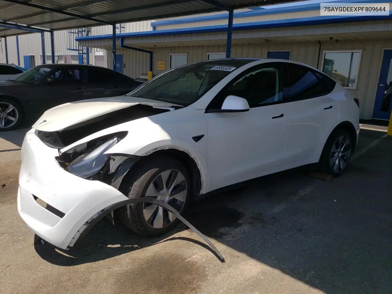2023 Tesla Model Y VIN: 7SAYGDEEXPF809644 Lot: 59985505