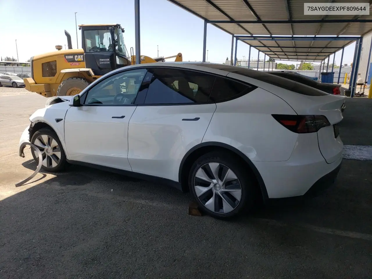2023 Tesla Model Y VIN: 7SAYGDEEXPF809644 Lot: 59985505
