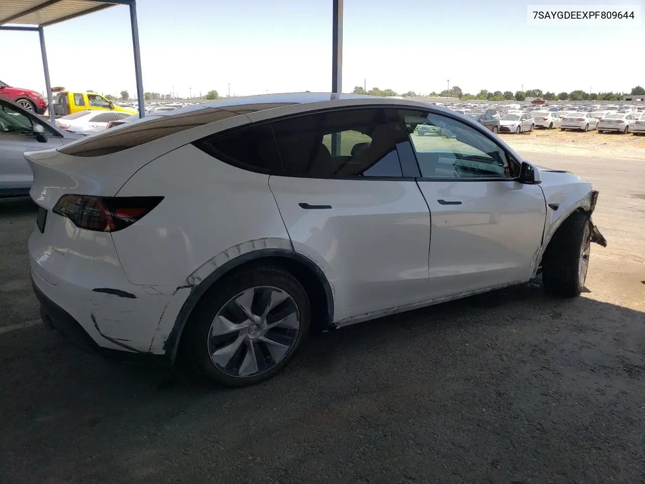 2023 Tesla Model Y VIN: 7SAYGDEEXPF809644 Lot: 59985505