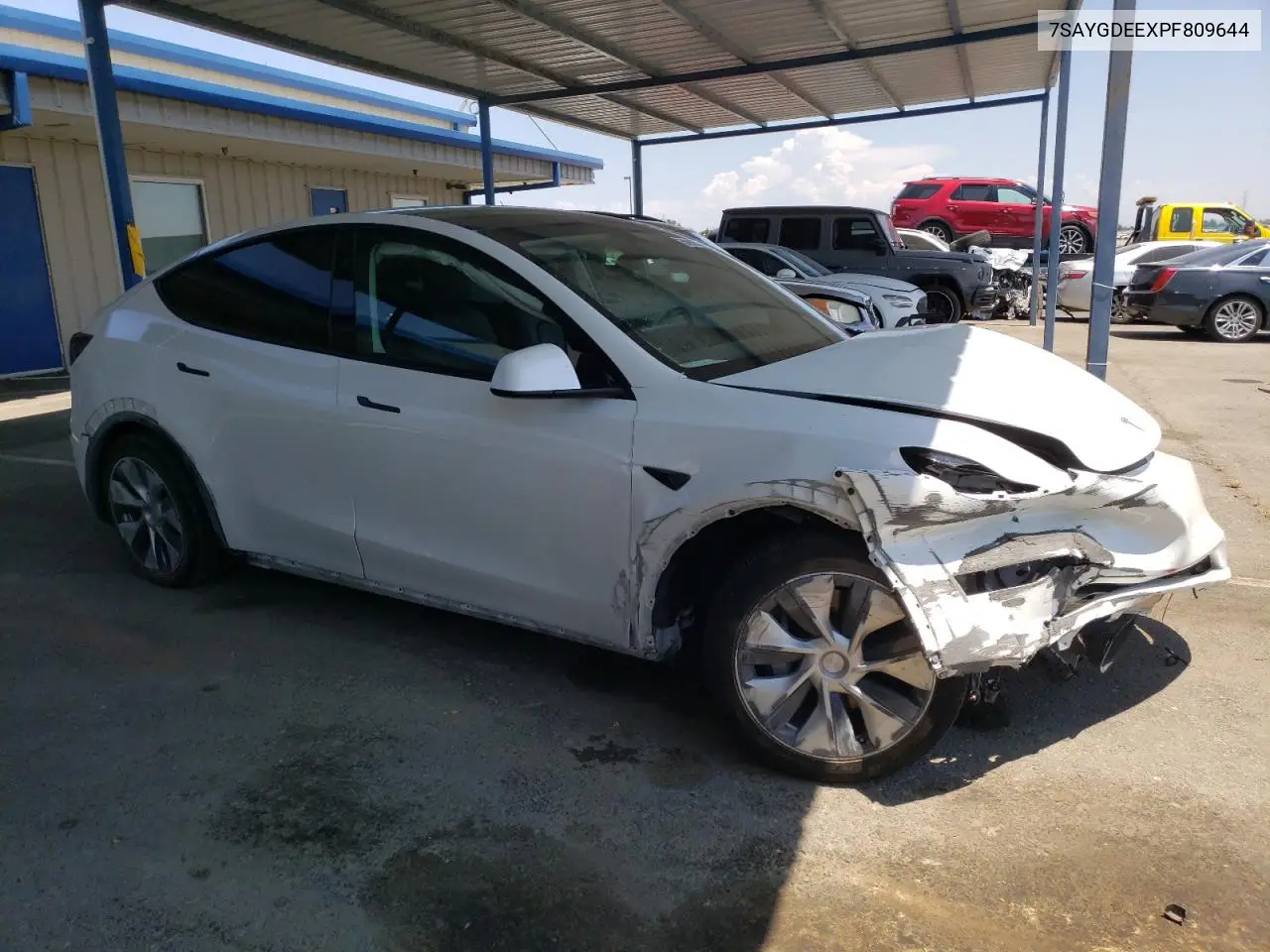 2023 Tesla Model Y VIN: 7SAYGDEEXPF809644 Lot: 59985505