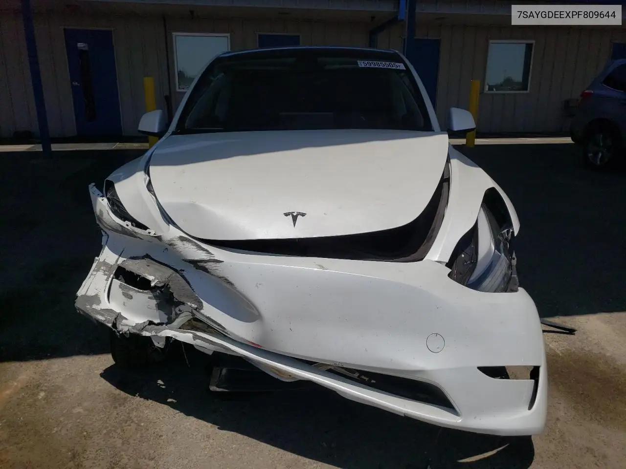 2023 Tesla Model Y VIN: 7SAYGDEEXPF809644 Lot: 59985505