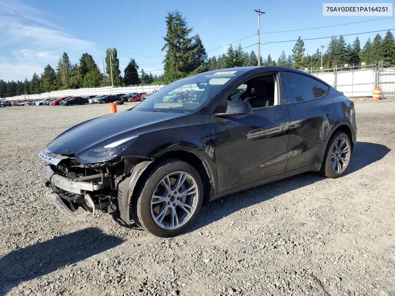 2023 Tesla Model Y VIN: 7SAYGDEE1PA164251 Lot: 61552595