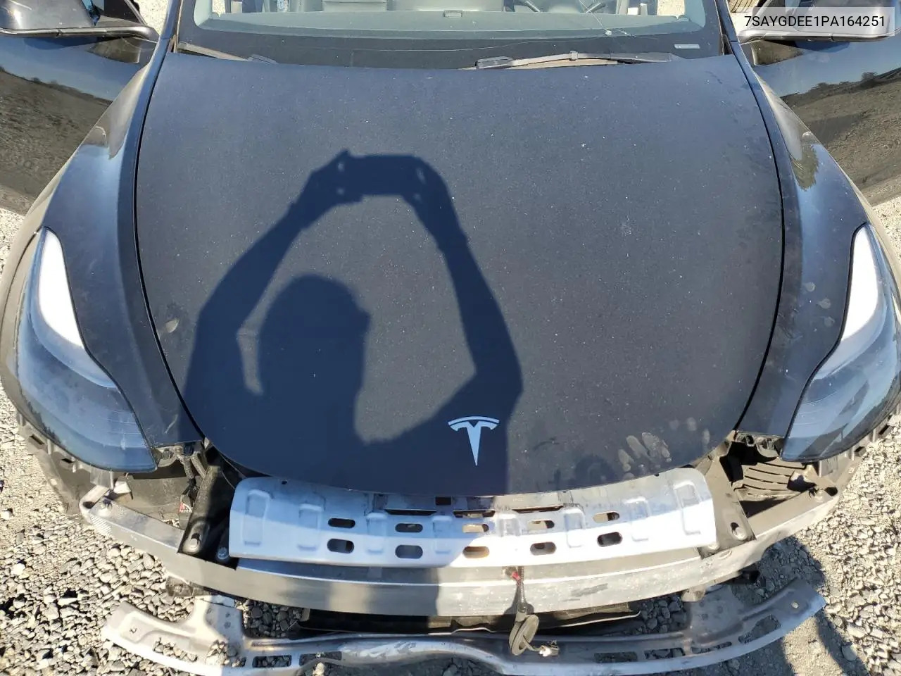 2023 Tesla Model Y VIN: 7SAYGDEE1PA164251 Lot: 61552595