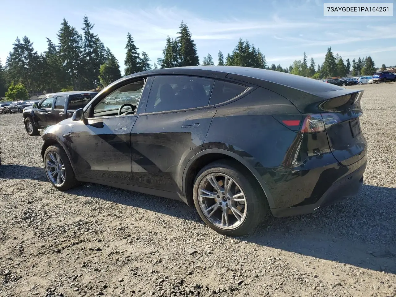 2023 Tesla Model Y VIN: 7SAYGDEE1PA164251 Lot: 61552595