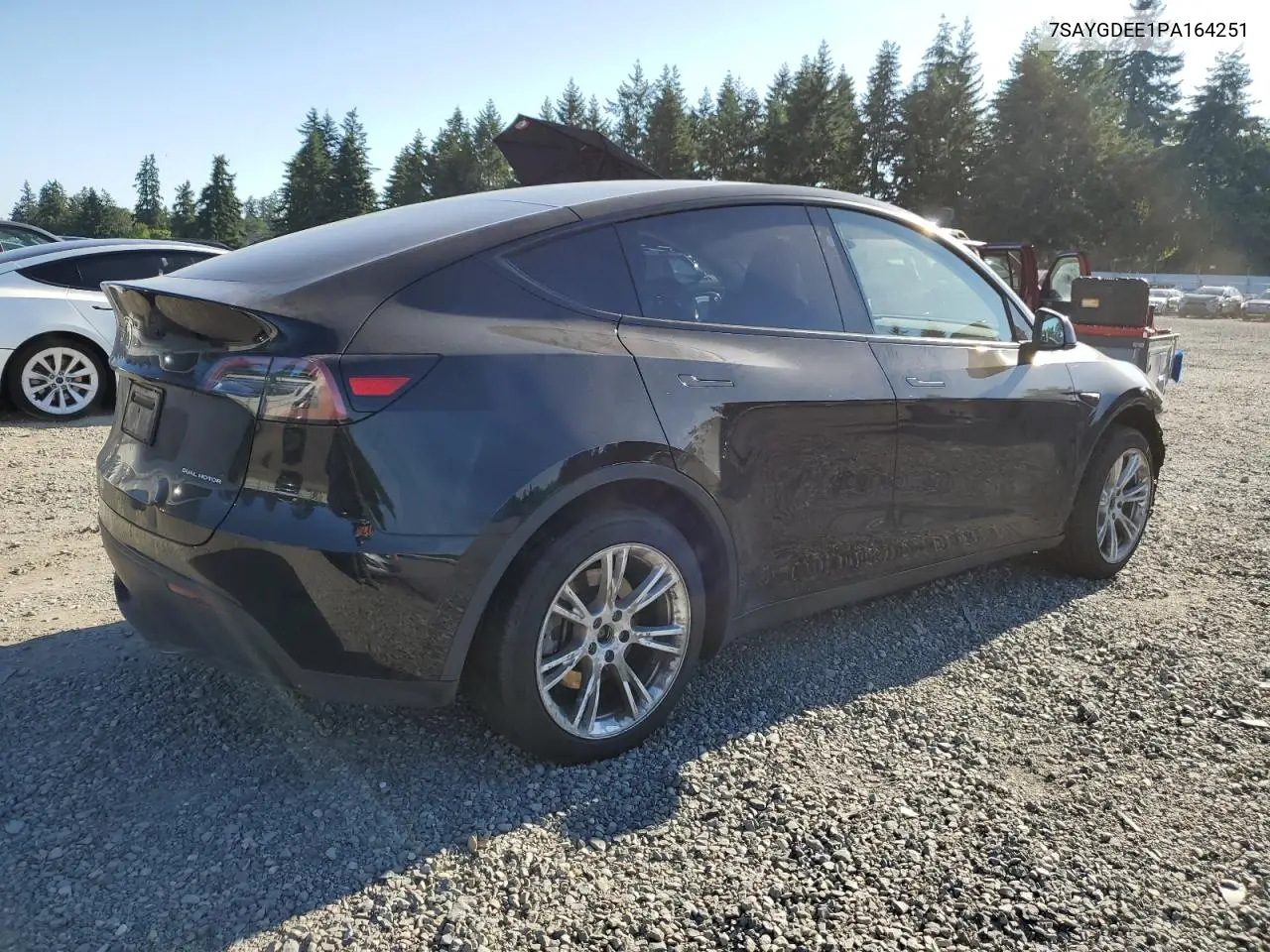 2023 Tesla Model Y VIN: 7SAYGDEE1PA164251 Lot: 61552595