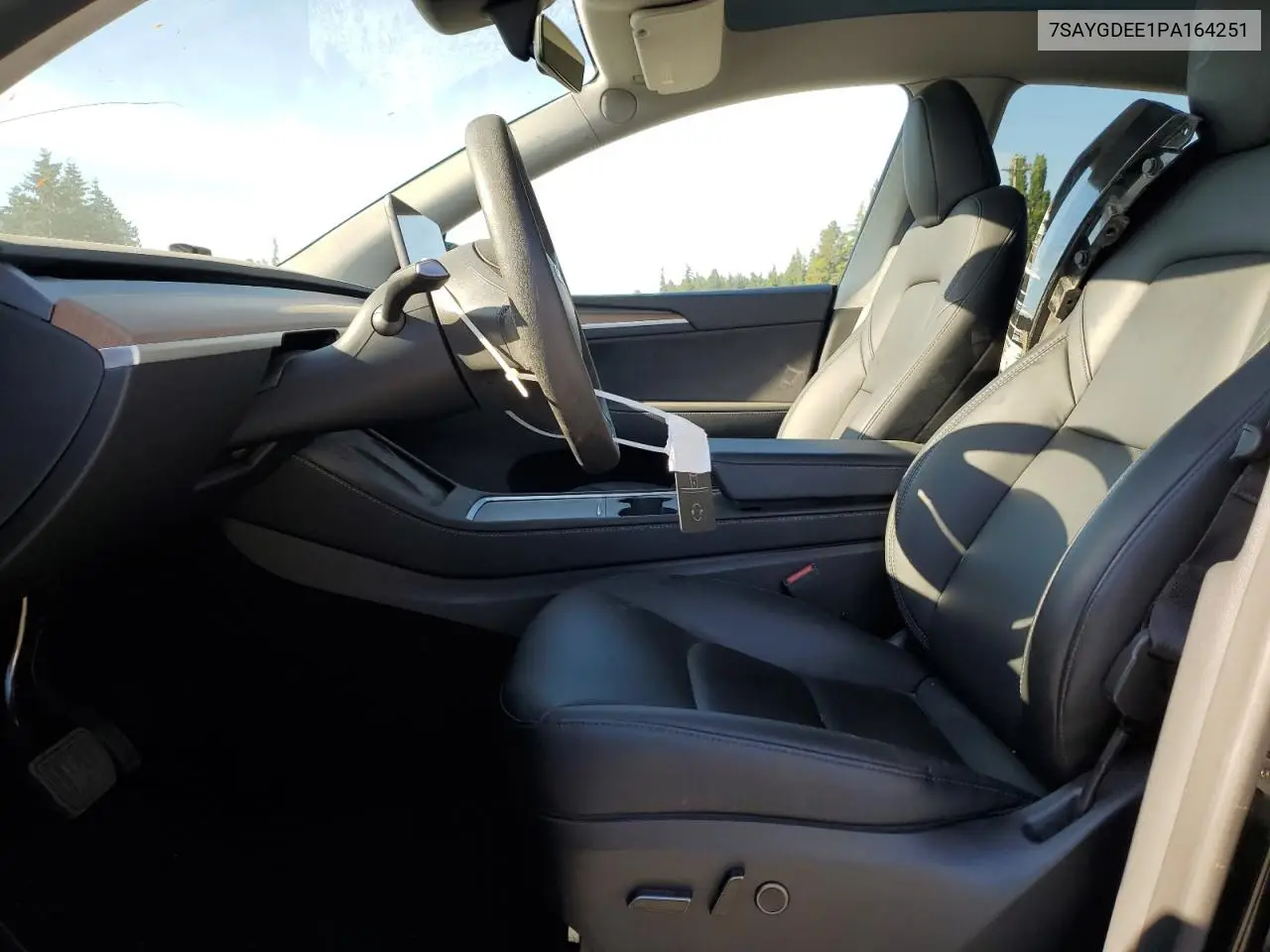 2023 Tesla Model Y VIN: 7SAYGDEE1PA164251 Lot: 61552595