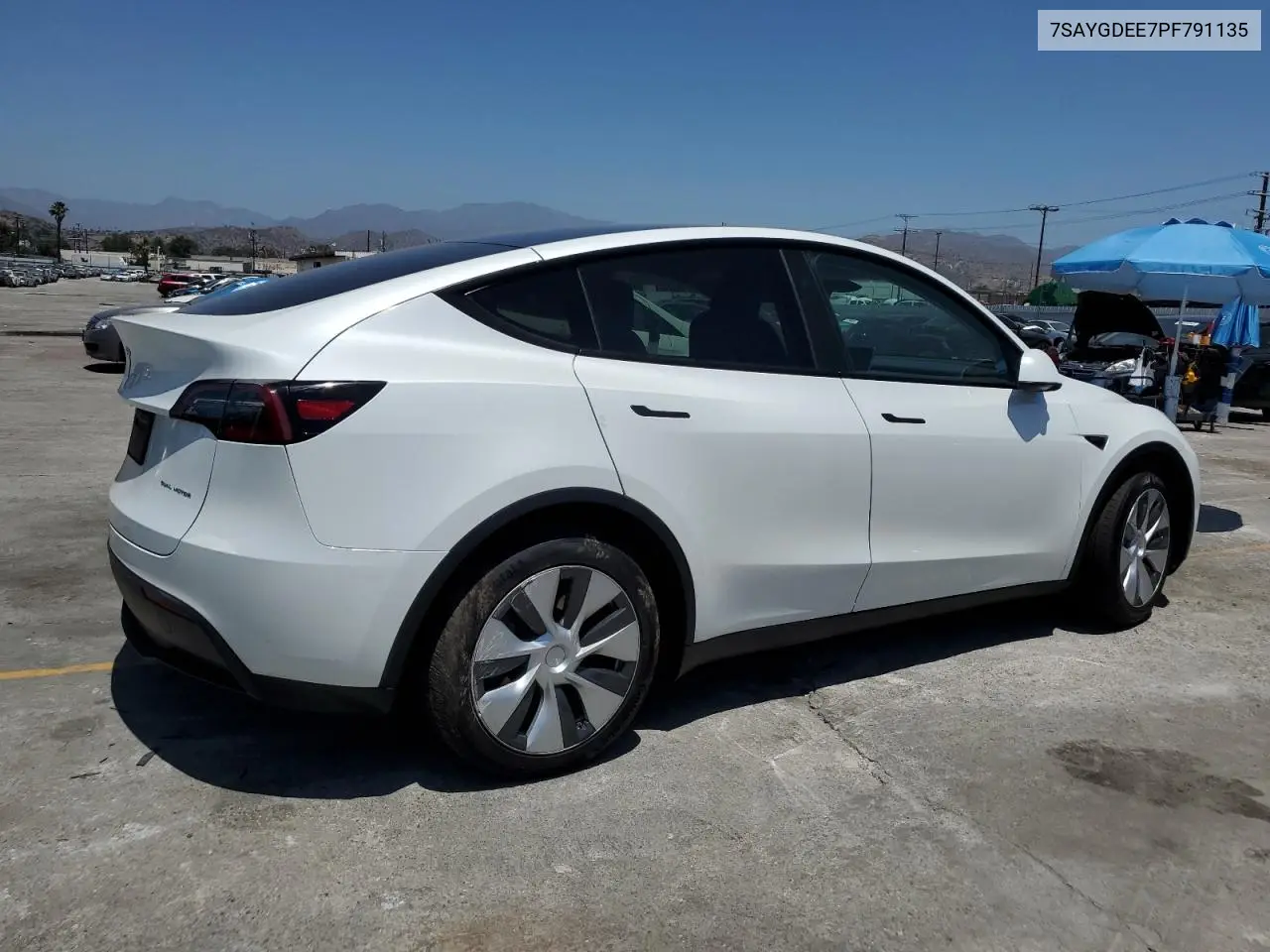 2023 Tesla Model Y VIN: 7SAYGDEE7PF791135 Lot: 61653345