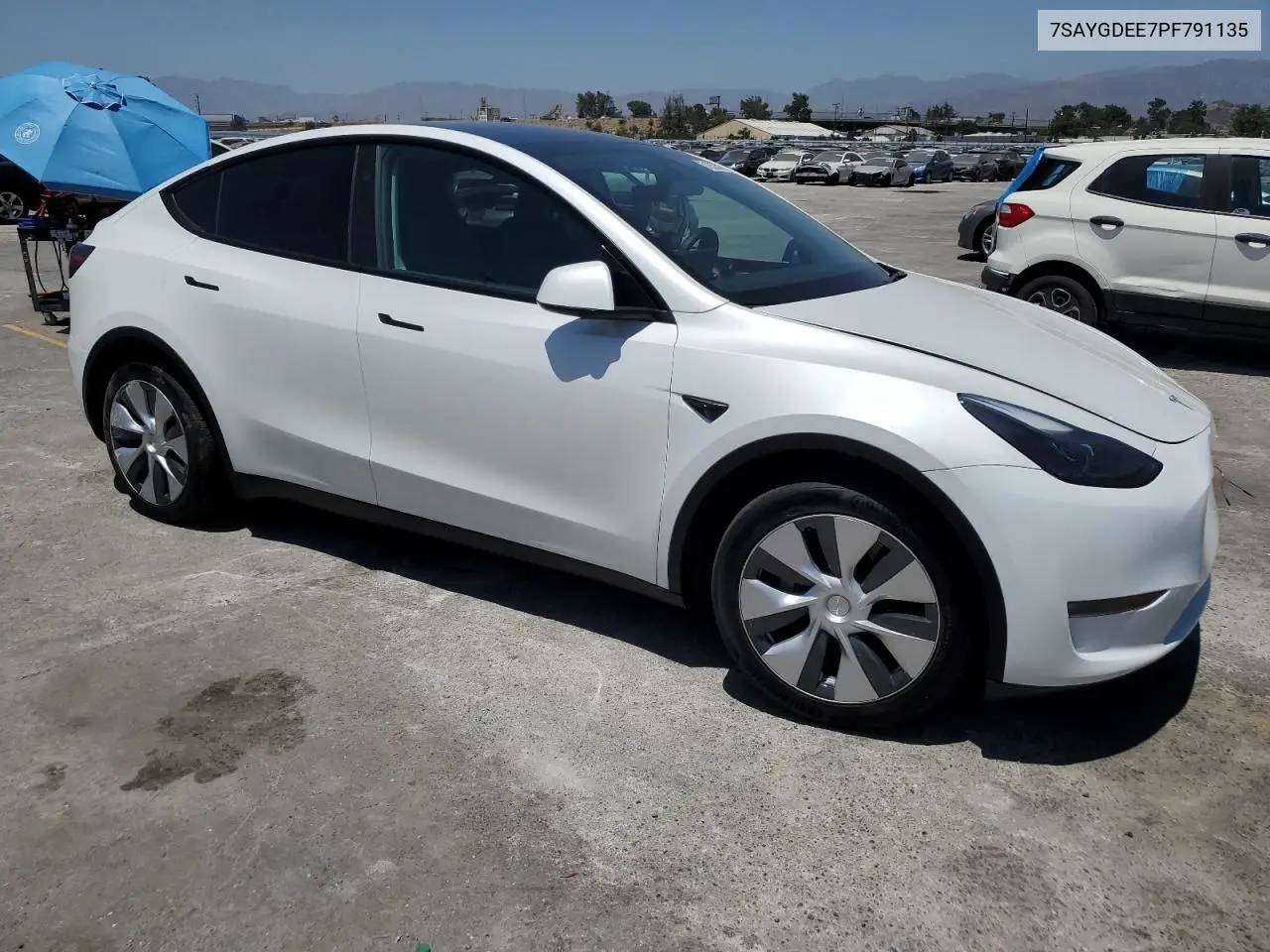 2023 Tesla Model Y VIN: 7SAYGDEE7PF791135 Lot: 61653345
