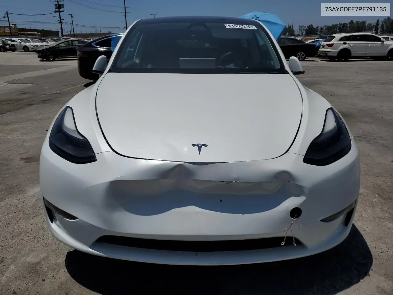 2023 Tesla Model Y VIN: 7SAYGDEE7PF791135 Lot: 61653345