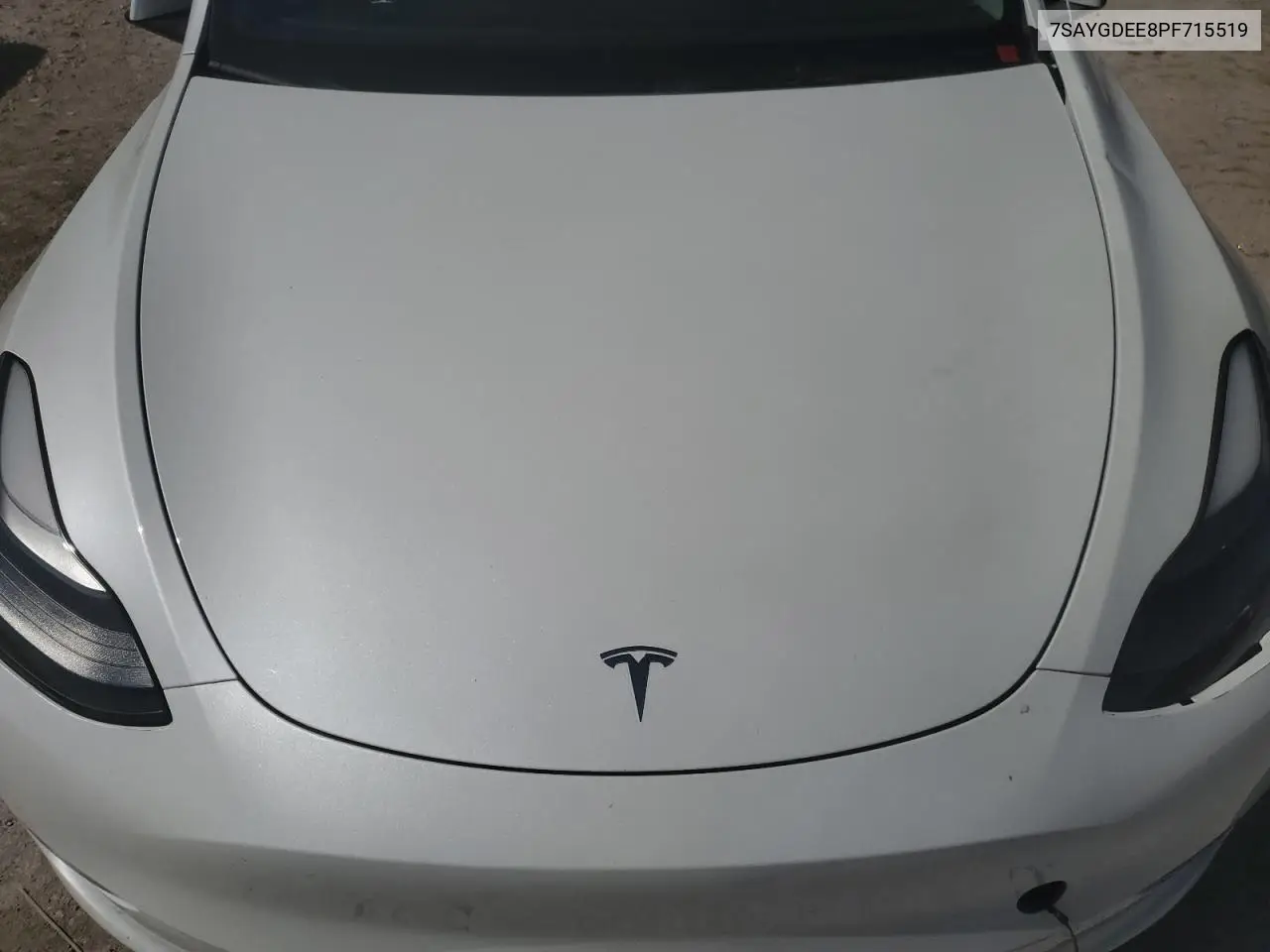 2023 Tesla Model Y VIN: 7SAYGDEE8PF715519 Lot: 61675035
