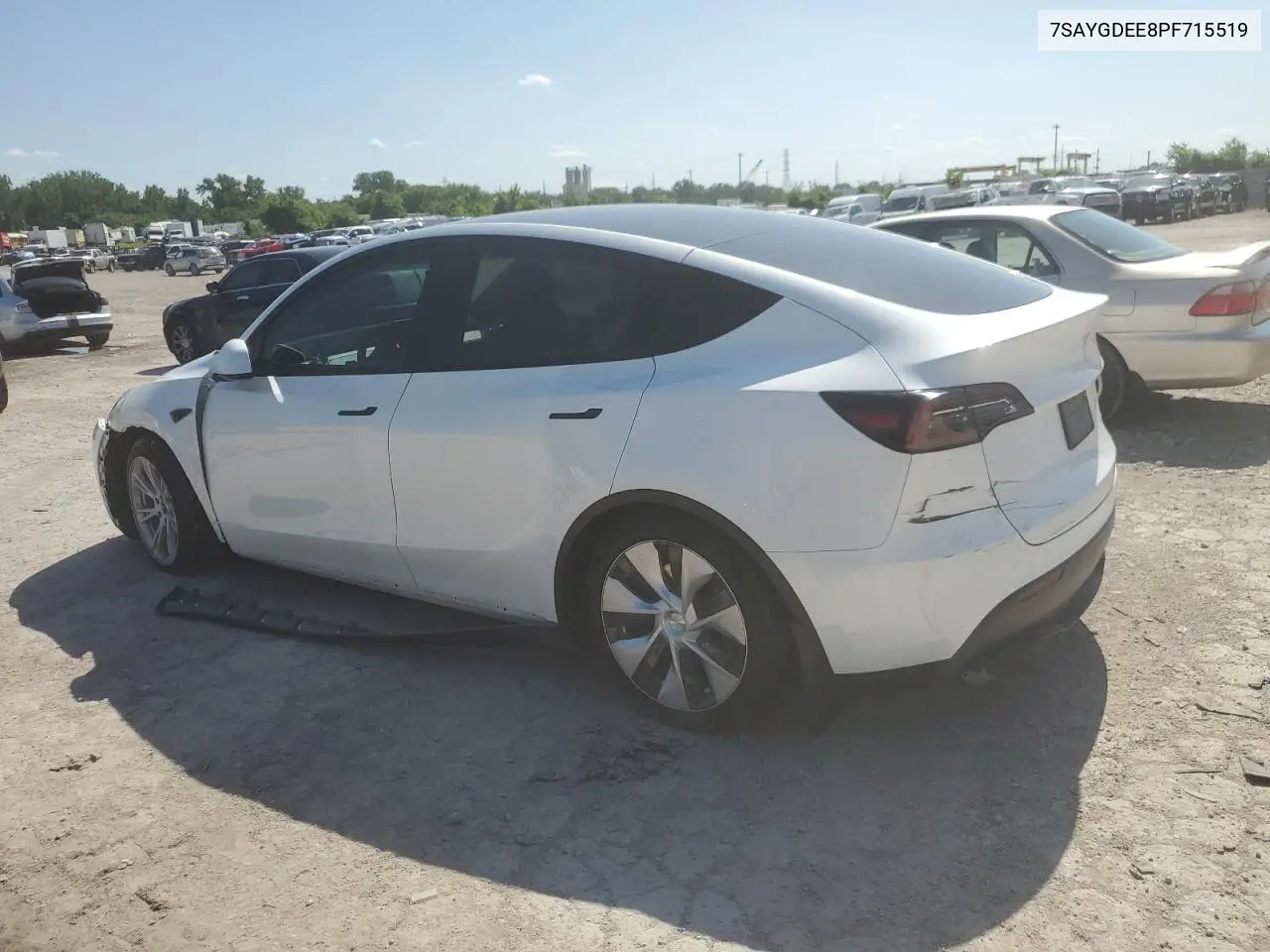 2023 Tesla Model Y VIN: 7SAYGDEE8PF715519 Lot: 61675035