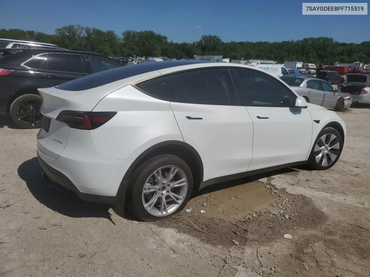 2023 Tesla Model Y VIN: 7SAYGDEE8PF715519 Lot: 61675035