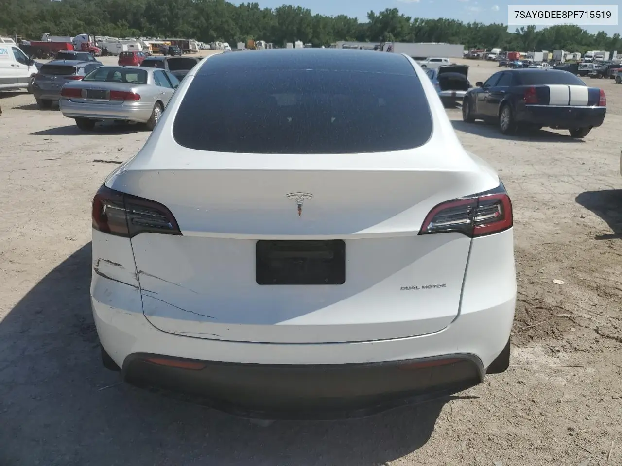 2023 Tesla Model Y VIN: 7SAYGDEE8PF715519 Lot: 61675035