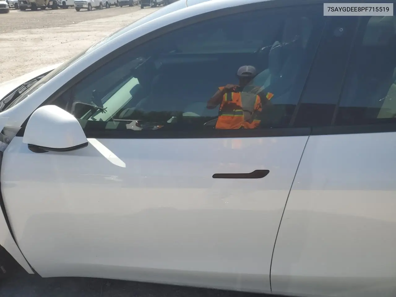 2023 Tesla Model Y VIN: 7SAYGDEE8PF715519 Lot: 61675035