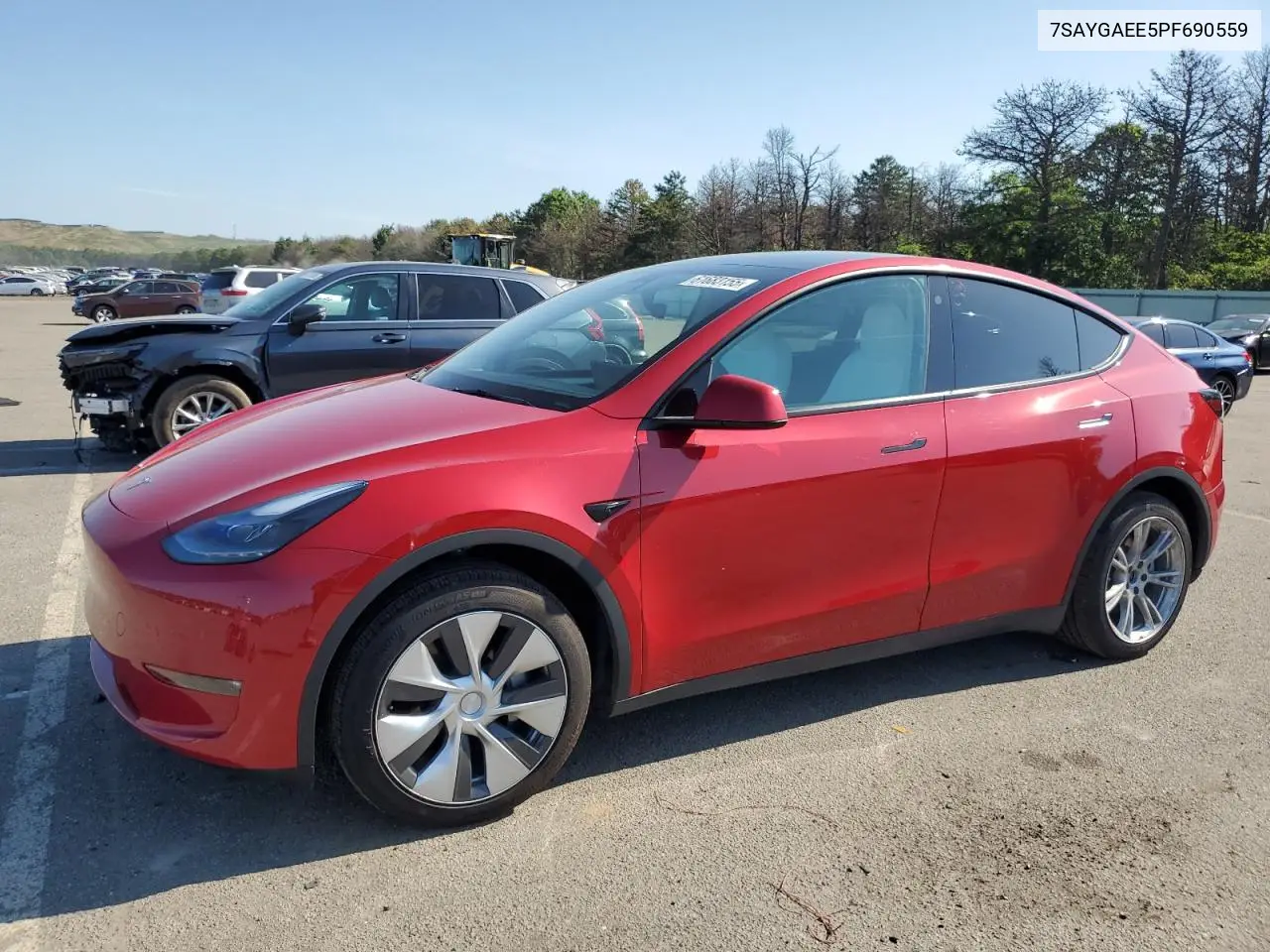 2023 Tesla Model Y VIN: 7SAYGAEE5PF690559 Lot: 61683155