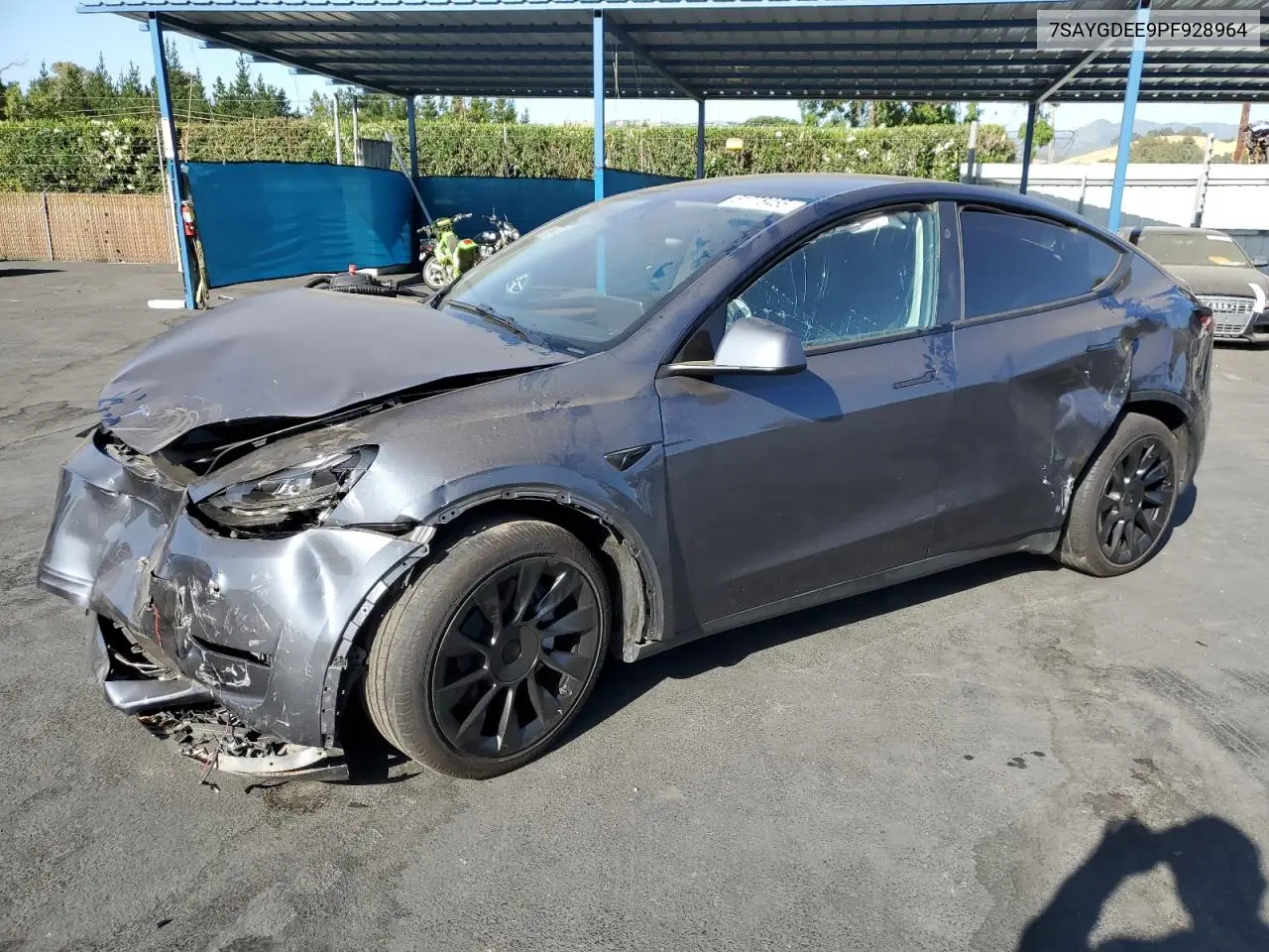2023 Tesla Model Y VIN: 7SAYGDEE9PF928964 Lot: 61778455