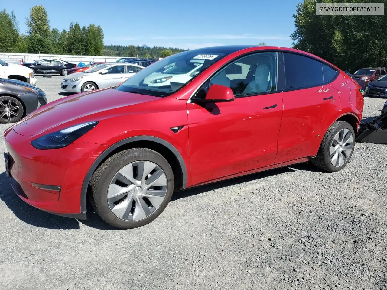 2023 Tesla Model Y VIN: 7SAYGDEE0PF836111 Lot: 62184755