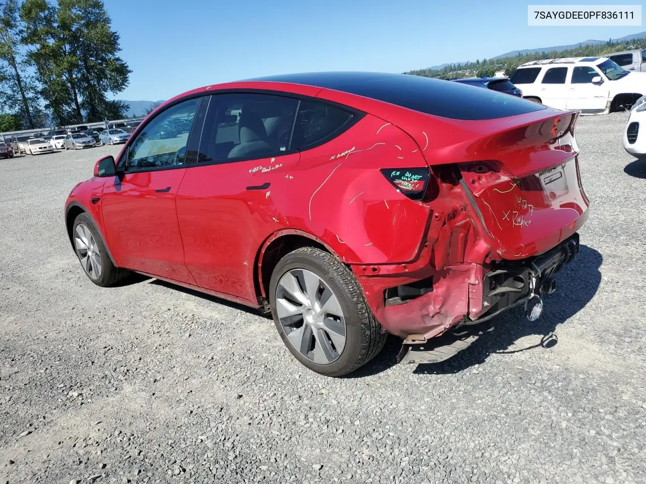 2023 Tesla Model Y VIN: 7SAYGDEE0PF836111 Lot: 62184755