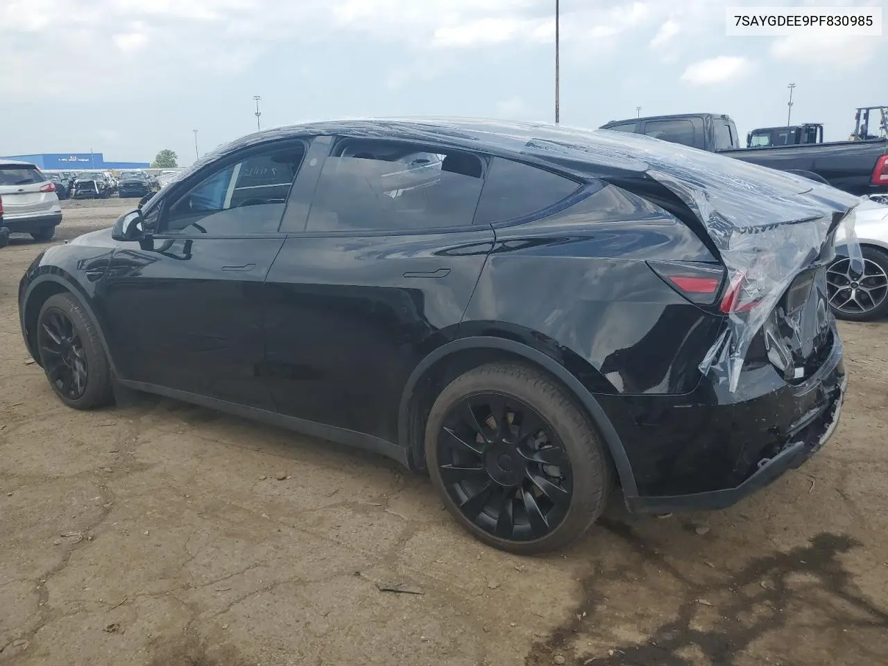 2023 Tesla Model Y VIN: 7SAYGDEE9PF830985 Lot: 62294575