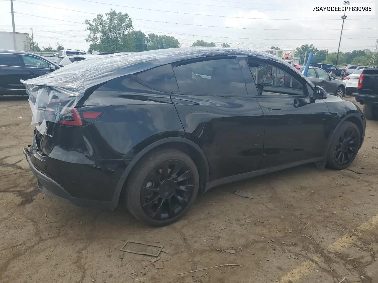 2023 Tesla Model Y VIN: 7SAYGDEE9PF830985 Lot: 62294575