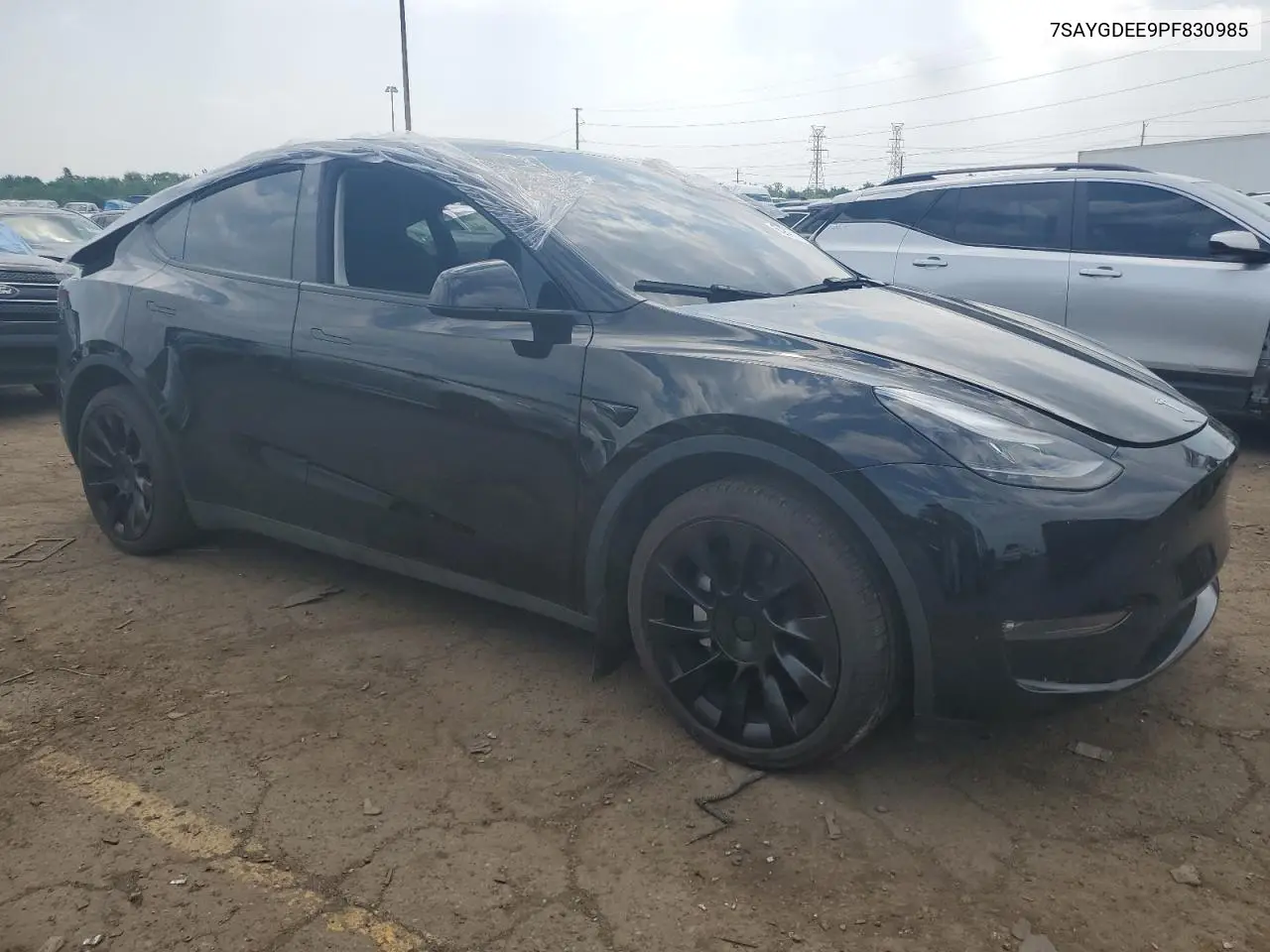 2023 Tesla Model Y VIN: 7SAYGDEE9PF830985 Lot: 62294575