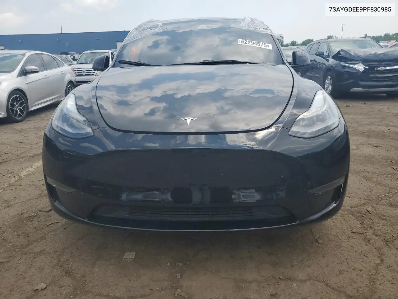 2023 Tesla Model Y VIN: 7SAYGDEE9PF830985 Lot: 62294575
