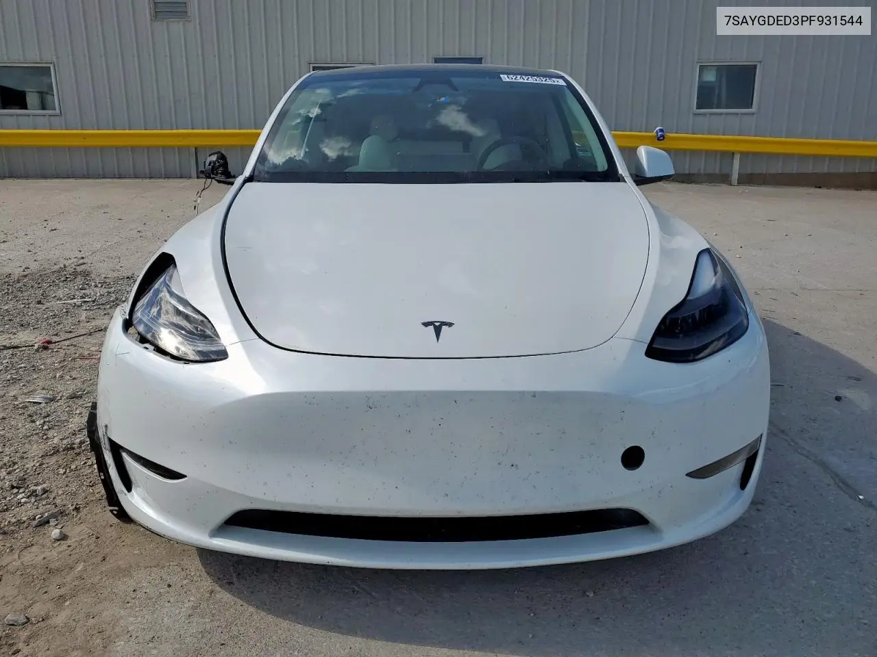 2023 Tesla Model Y VIN: 7SAYGDED3PF931544 Lot: 62425325
