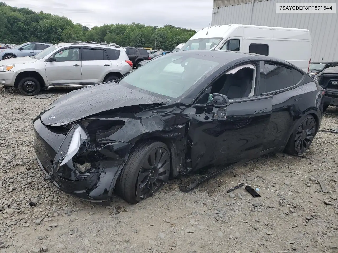 2023 Tesla Model Y VIN: 7SAYGDEF8PF891544 Lot: 62489405