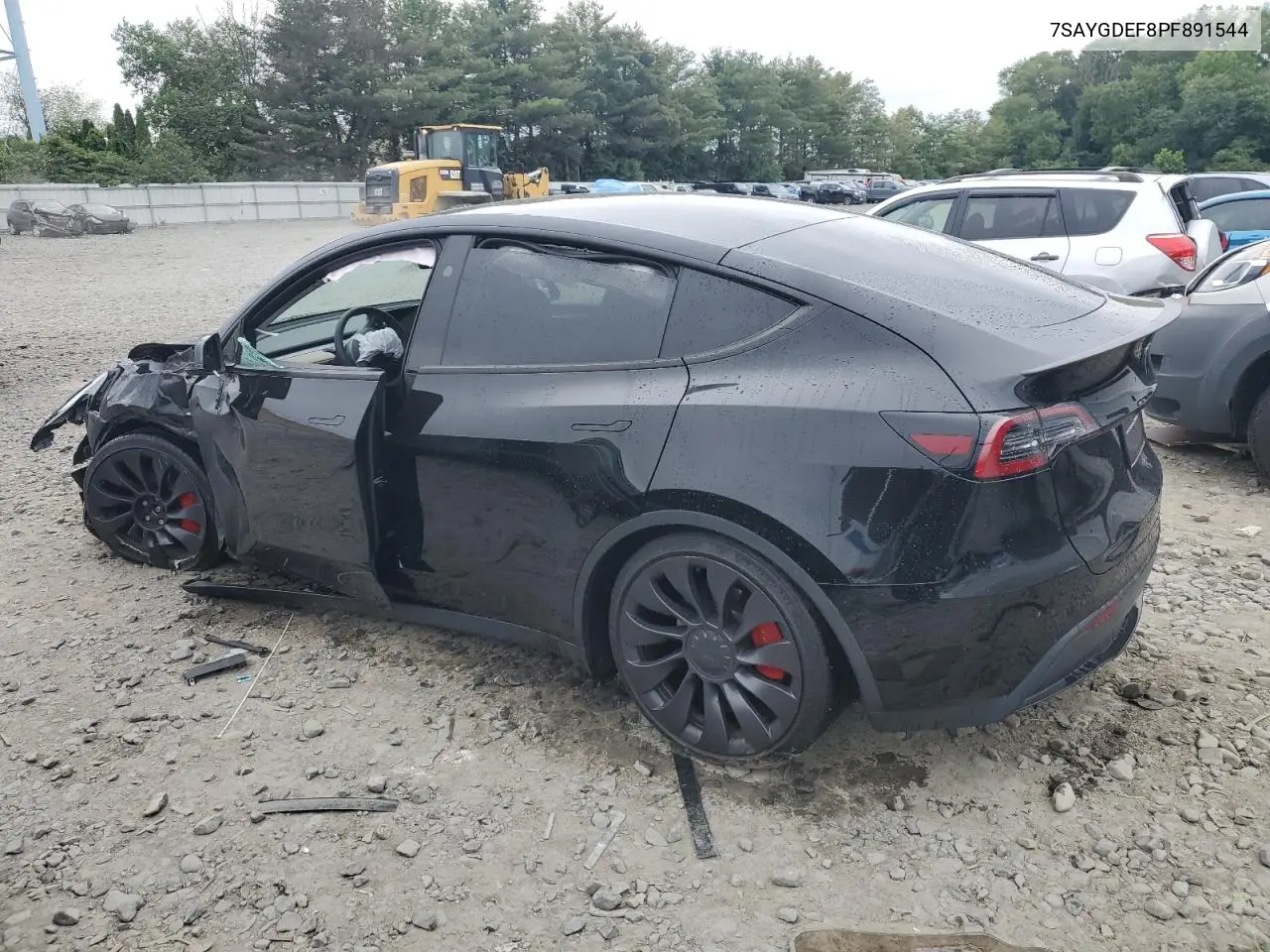 2023 Tesla Model Y VIN: 7SAYGDEF8PF891544 Lot: 62489405
