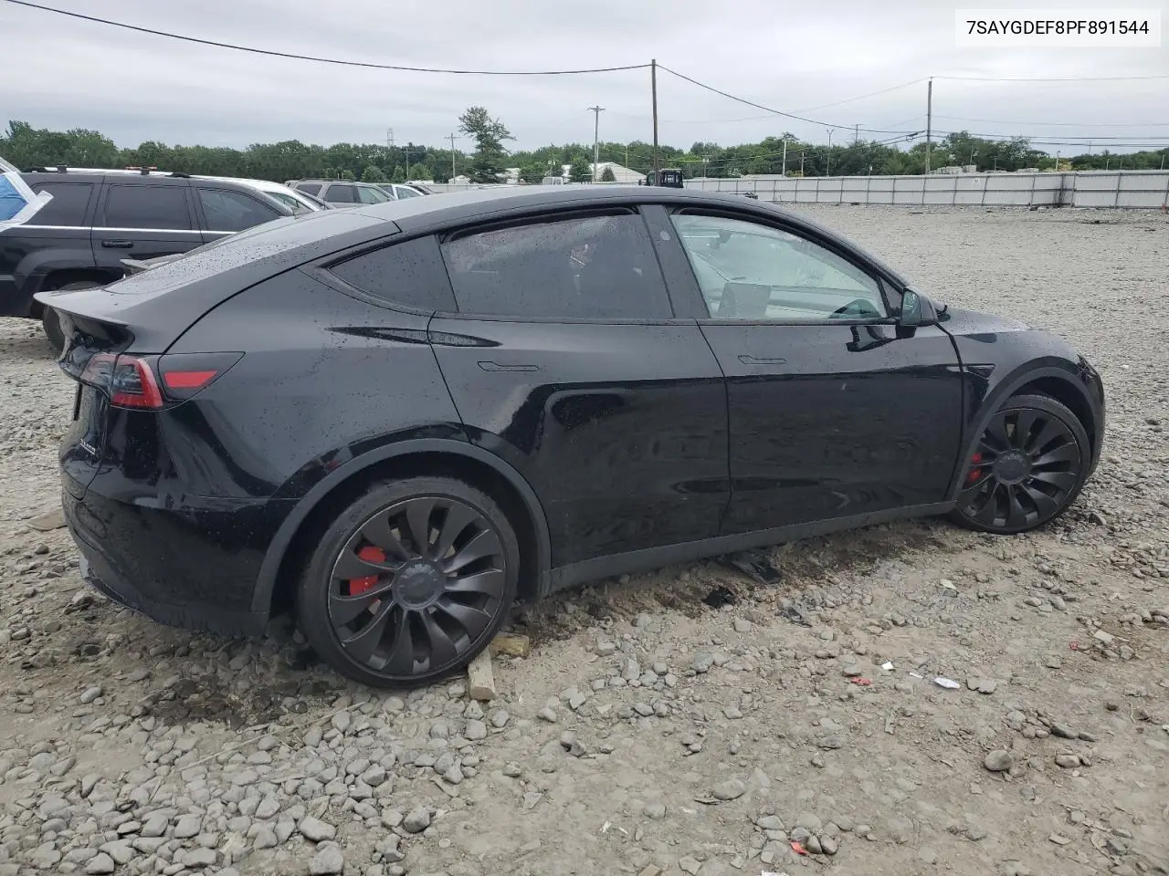 2023 Tesla Model Y VIN: 7SAYGDEF8PF891544 Lot: 62489405