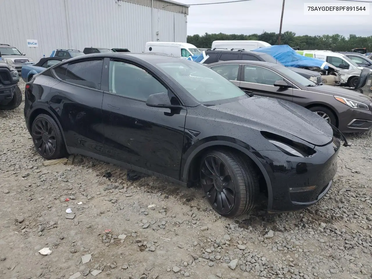 2023 Tesla Model Y VIN: 7SAYGDEF8PF891544 Lot: 62489405