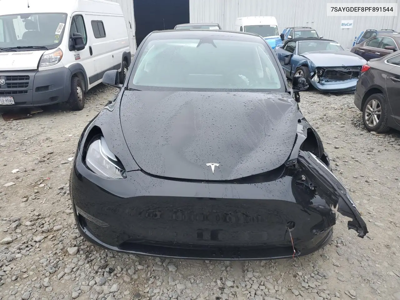 2023 Tesla Model Y VIN: 7SAYGDEF8PF891544 Lot: 62489405