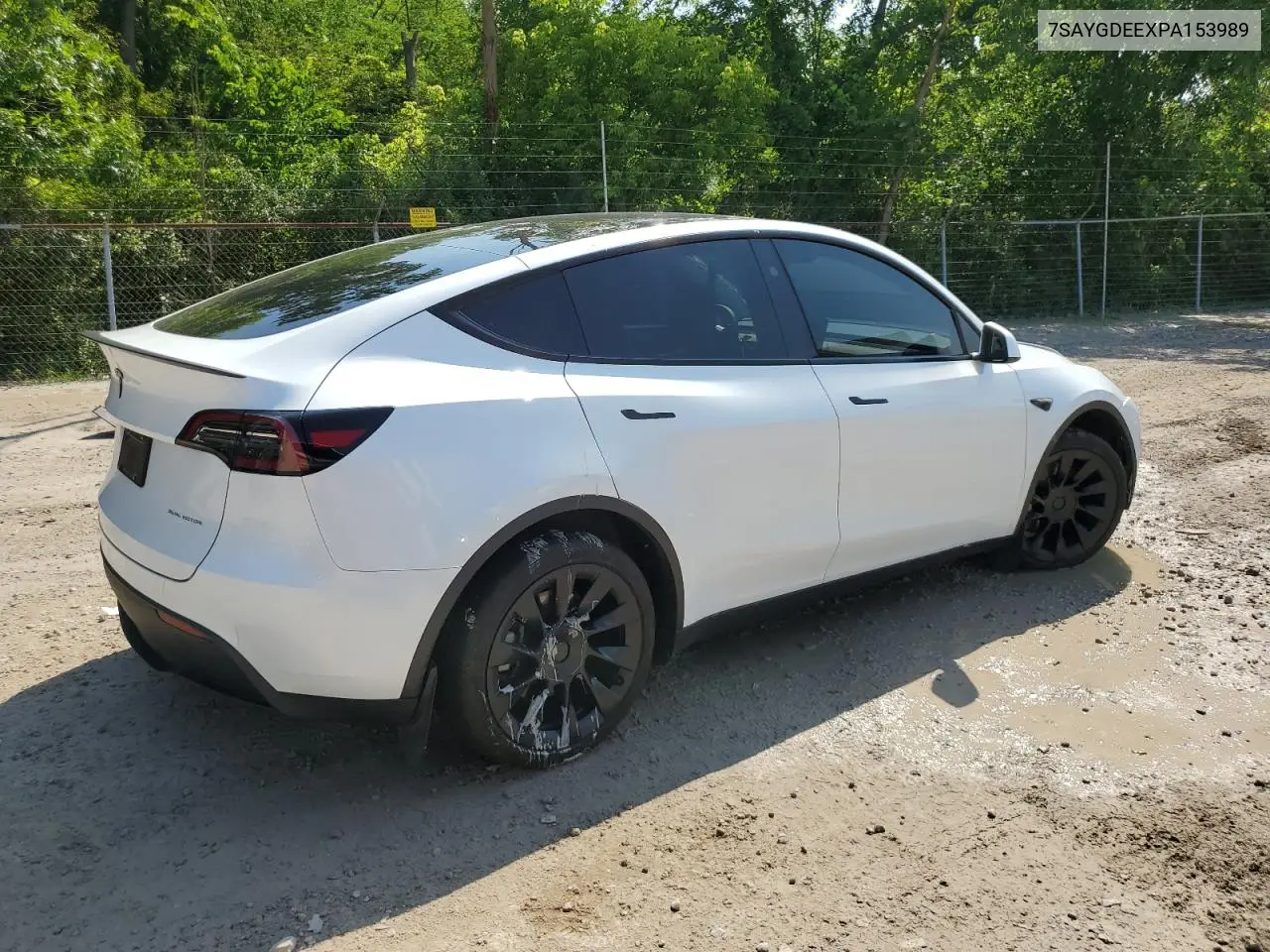 2023 Tesla Model Y VIN: 7SAYGDEEXPA153989 Lot: 62677305