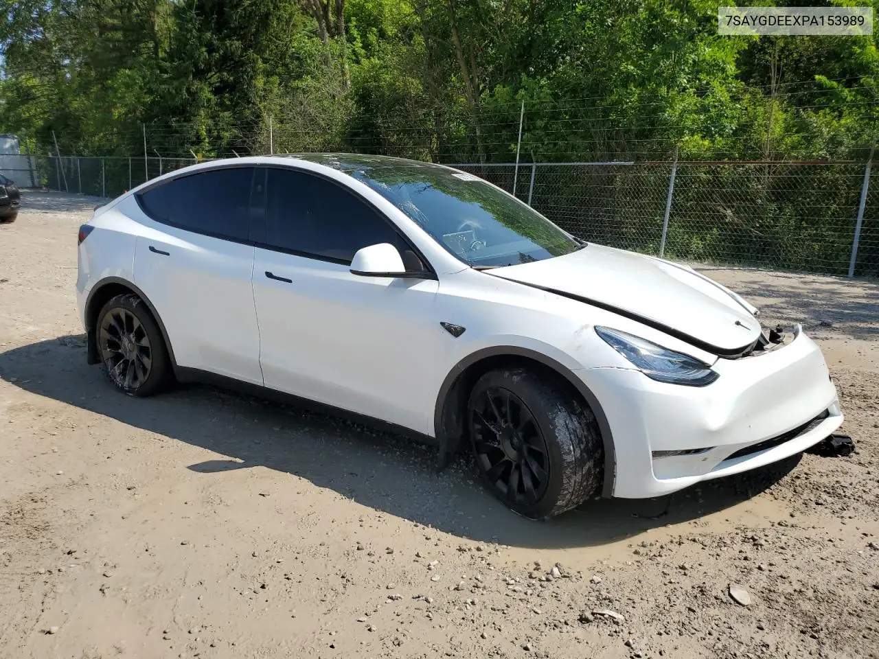 2023 Tesla Model Y VIN: 7SAYGDEEXPA153989 Lot: 62677305