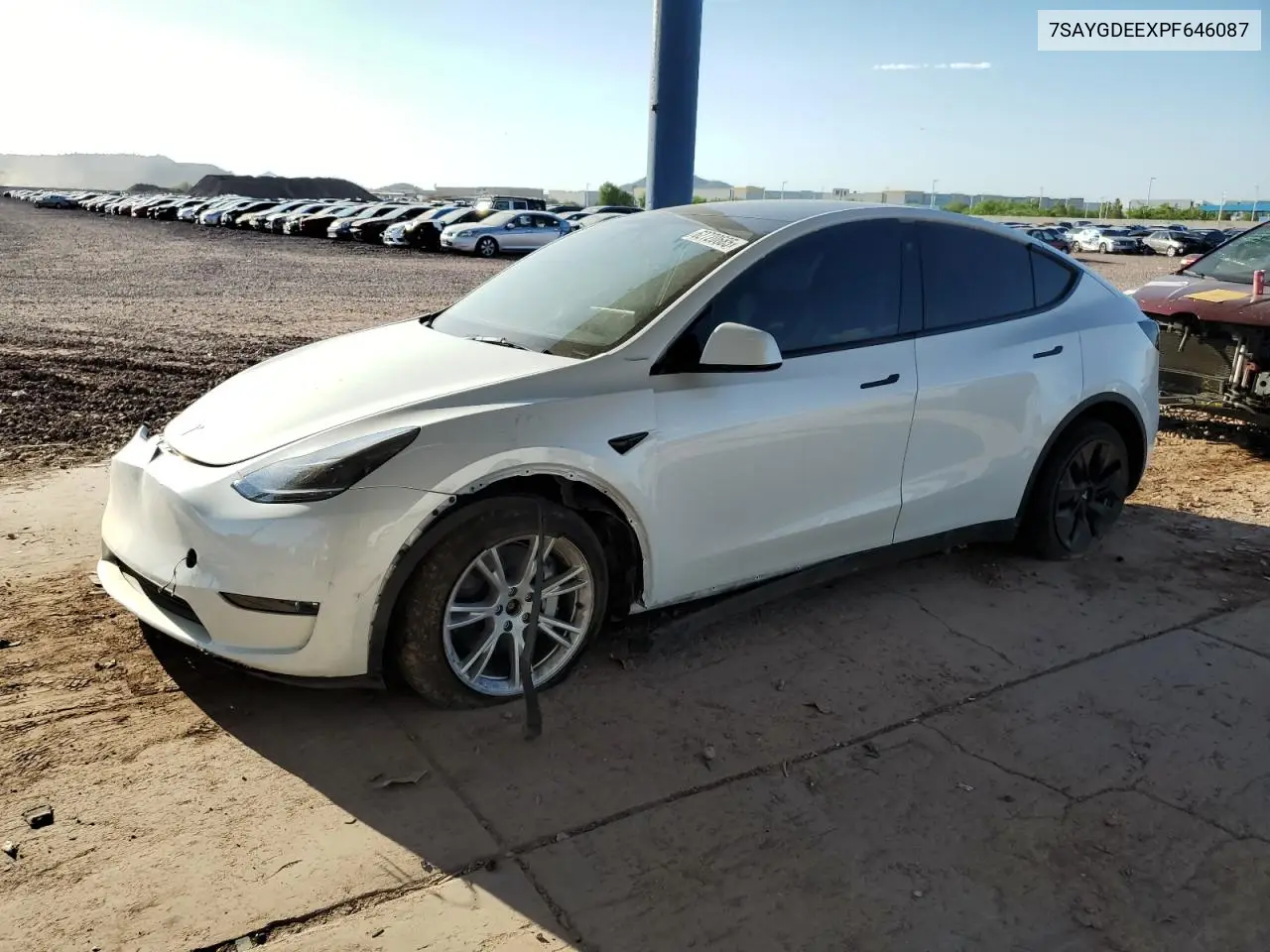 2023 Tesla Model Y VIN: 7SAYGDEEXPF646087 Lot: 62720685