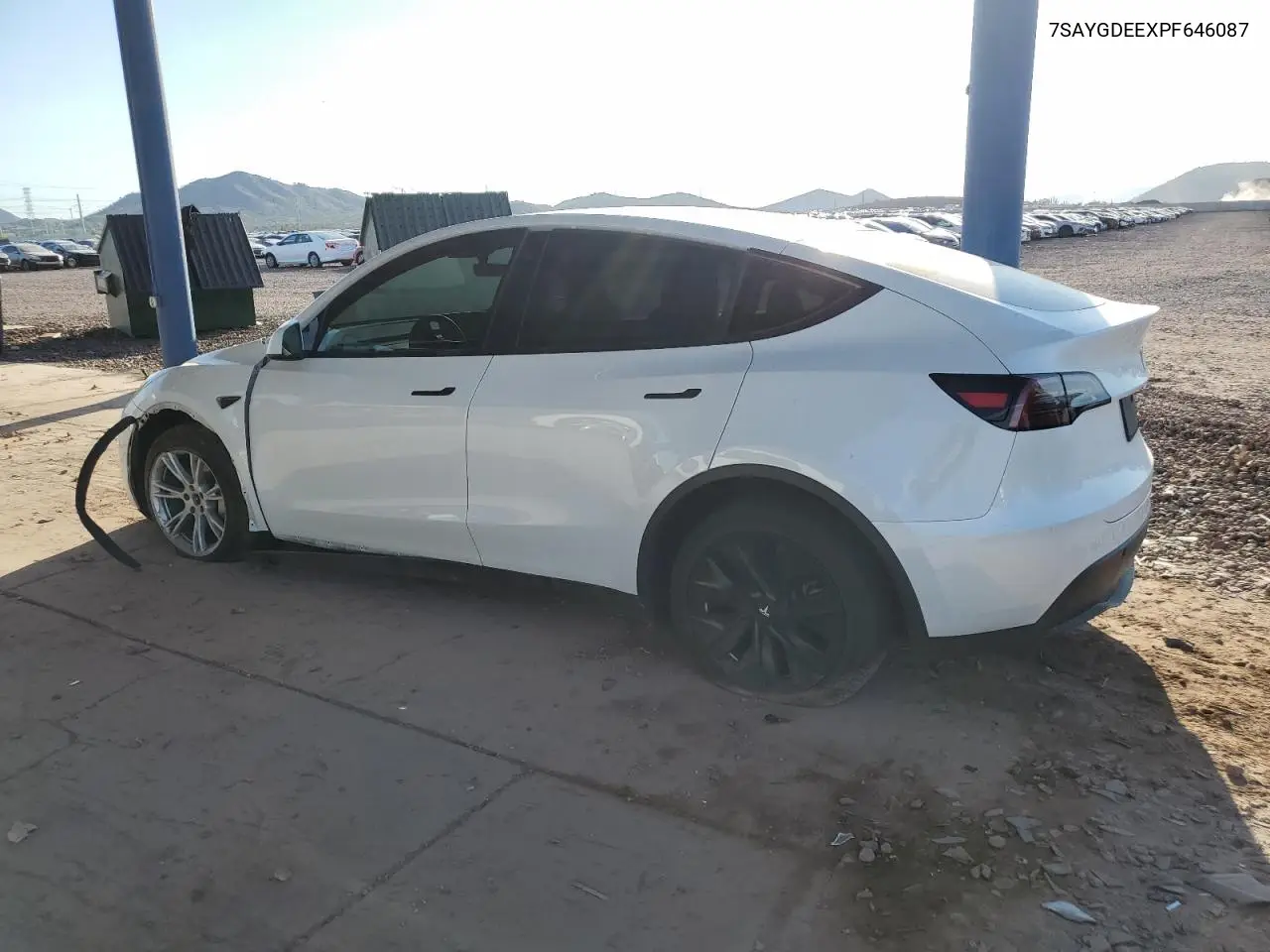 2023 Tesla Model Y VIN: 7SAYGDEEXPF646087 Lot: 62720685