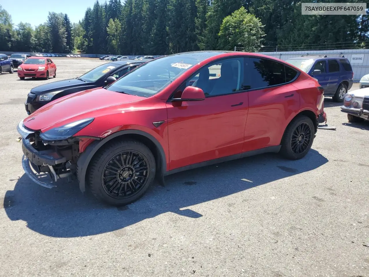 2023 Tesla Model Y VIN: 7SAYGDEEXPF647059 Lot: 62734605