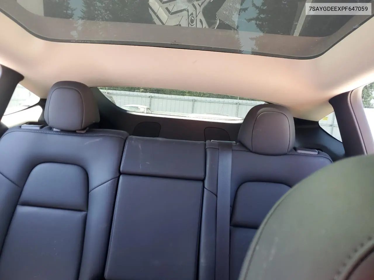 2023 Tesla Model Y VIN: 7SAYGDEEXPF647059 Lot: 62734605