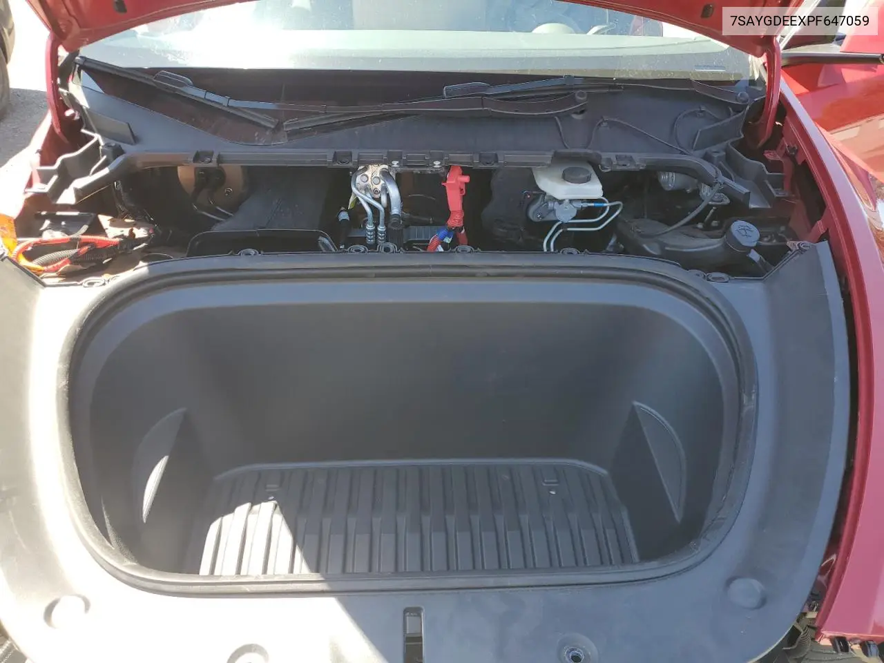 2023 Tesla Model Y VIN: 7SAYGDEEXPF647059 Lot: 62734605