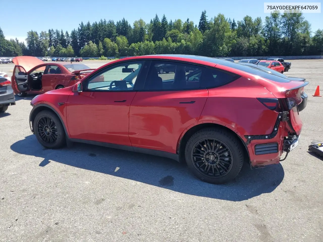 2023 Tesla Model Y VIN: 7SAYGDEEXPF647059 Lot: 62734605