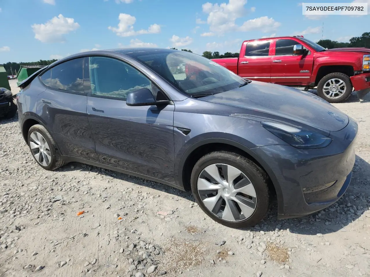 2023 Tesla Model Y VIN: 7SAYGDEE4PF709782 Lot: 62826475