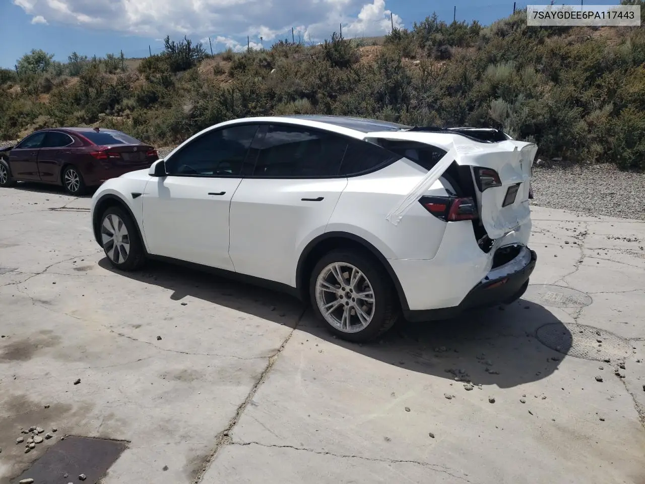 2023 Tesla Model Y VIN: 7SAYGDEE6PA117443 Lot: 62887265