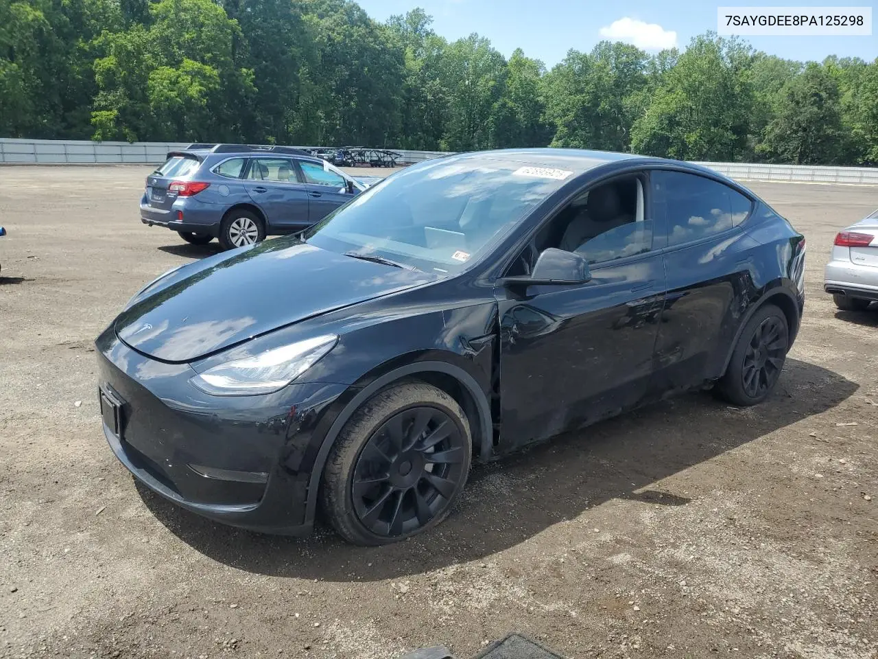 2023 Tesla Model Y VIN: 7SAYGDEE8PA125298 Lot: 62895925